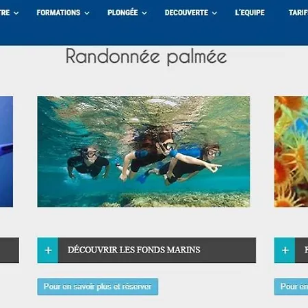 아파트 A - Les Mimosas 망들리유 라 나플