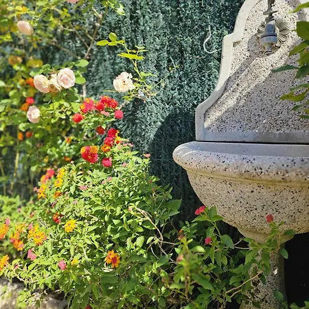 아파트 A - Les Mimosas