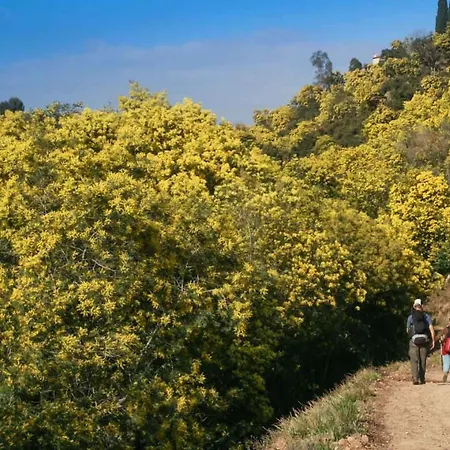 公寓 A - Les Mimosas *