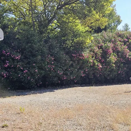 公寓 A - Les Mimosas