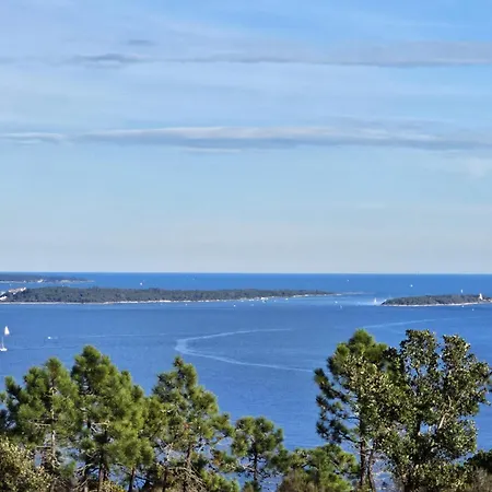 A - Les Mimosas * Mandelieu